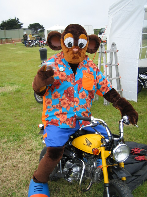 Herman's obession with his Monkey bike took a weird turn at the last meet. He now wanted to be referred to as "Bonzo". Bonzo is now relaxing under heavy meds and soft food.
