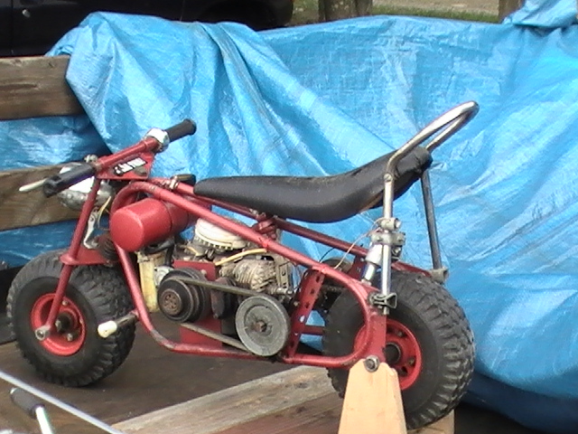 Unusual mini spotted at Windber. One of the smallest we've ever seen!
